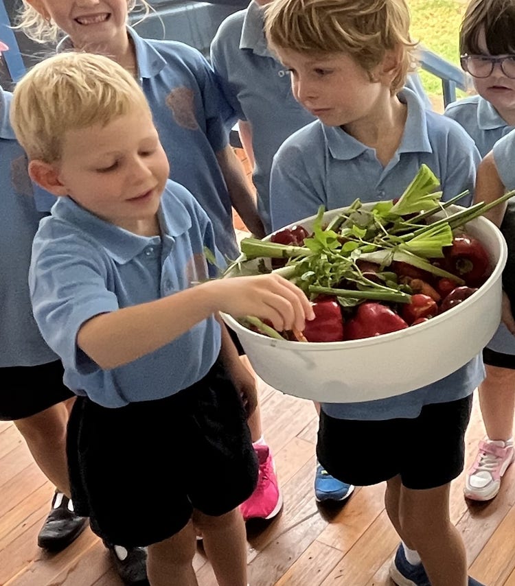 Students with fresh vegetables from school garden