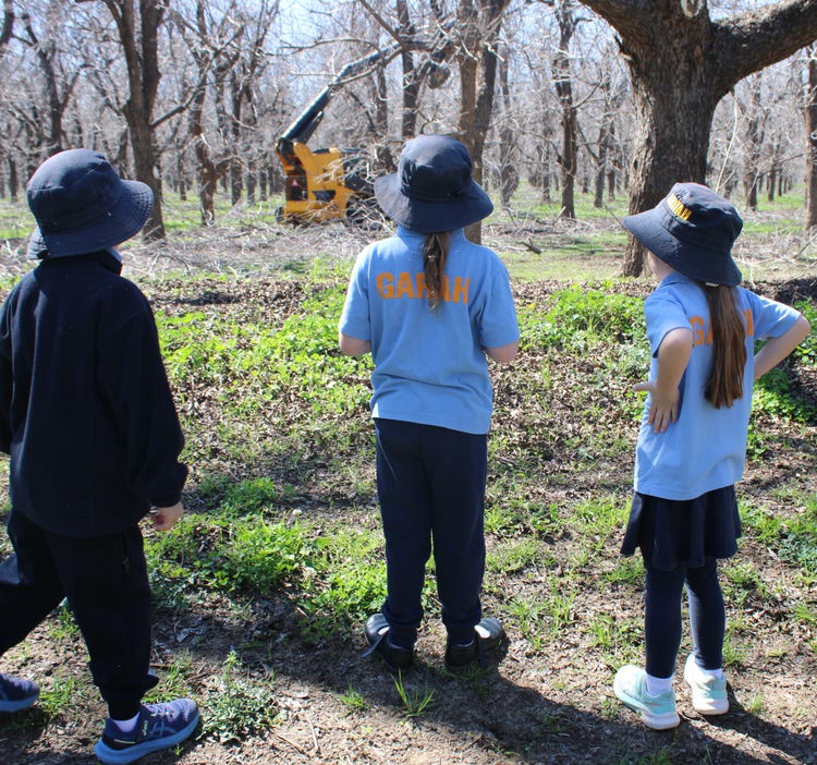 Students visiting the local Pecan Farm